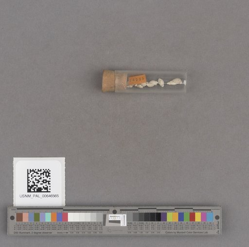 NSF ADBC EPICC TCN