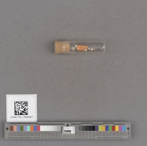 NSF ADBC EPICC TCN