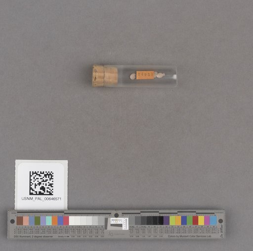 NSF ADBC EPICC TCN