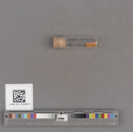 NSF ADBC EPICC TCN