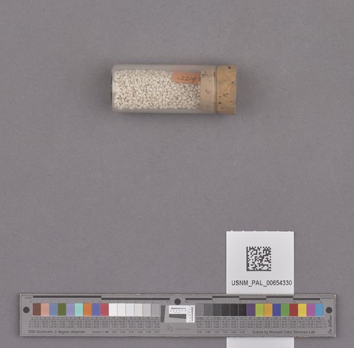 NSF ADBC EPICC TCN