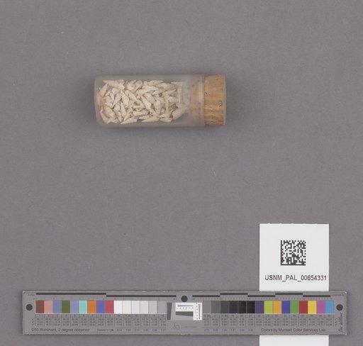 NSF ADBC EPICC TCN