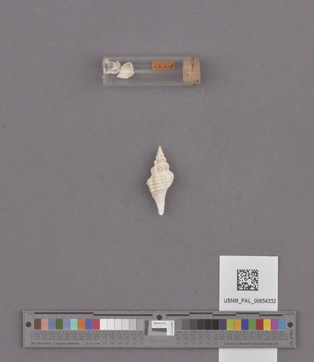 NSF ADBC EPICC TCN