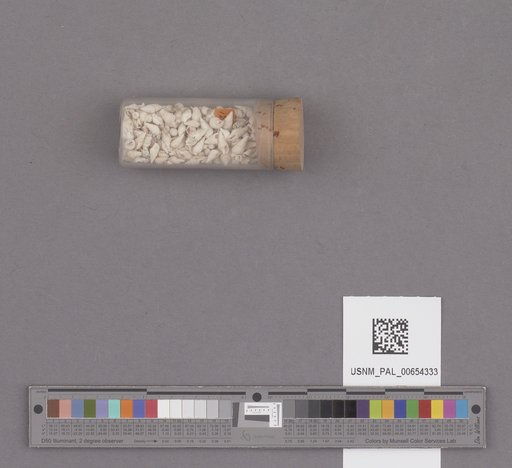 NSF ADBC EPICC TCN