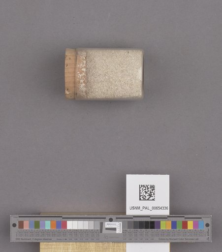 NSF ADBC EPICC TCN
