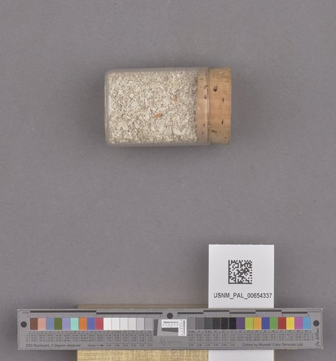 NSF ADBC EPICC TCN