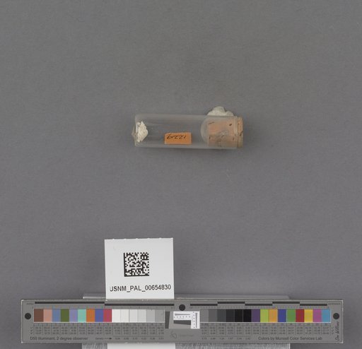 NSF ADBC EPICC TCN