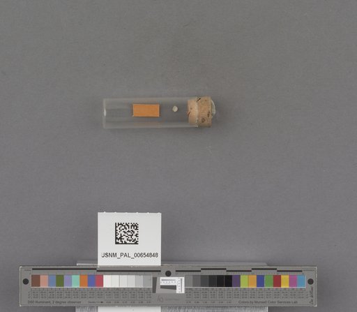 NSF ADBC EPICC TCN