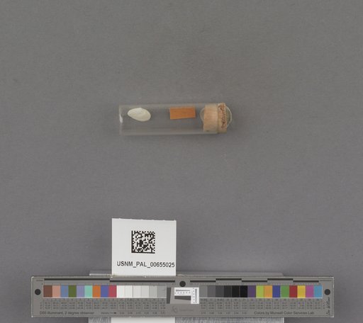 NSF ADBC EPICC TCN
