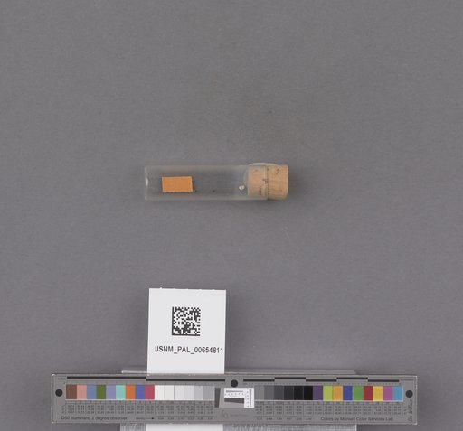 NSF ADBC EPICC TCN