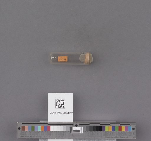 NSF ADBC EPICC TCN