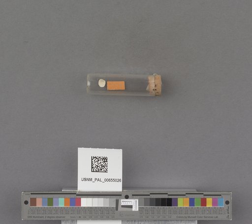 NSF ADBC EPICC TCN