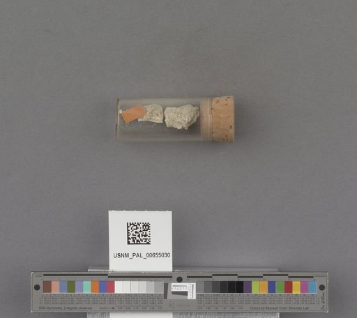 NSF ADBC EPICC TCN