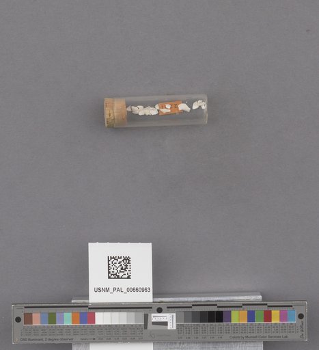 NSF ADBC EPICC TCN