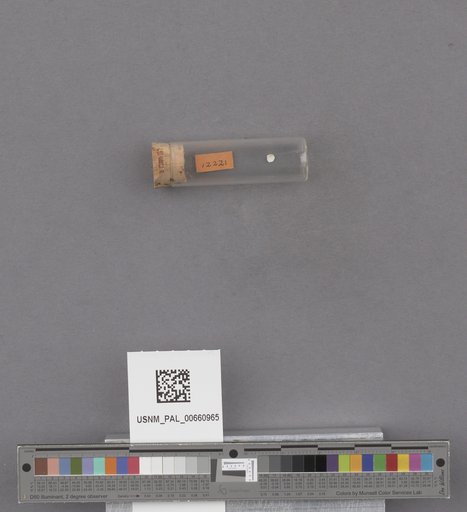 NSF ADBC EPICC TCN