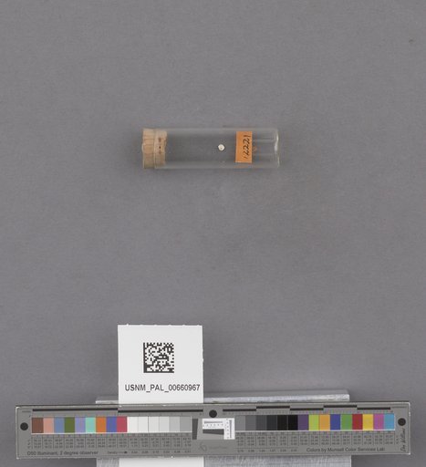 NSF ADBC EPICC TCN