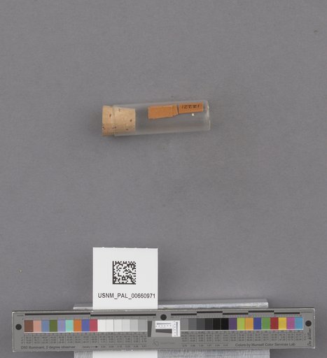 NSF ADBC EPICC TCN