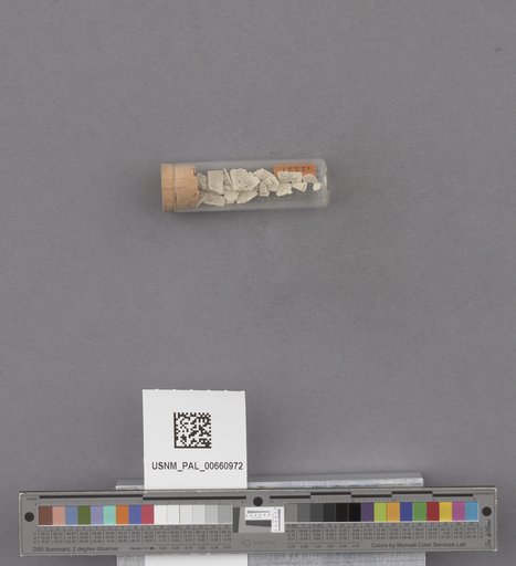 NSF ADBC EPICC TCN