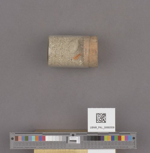 NSF ADBC EPICC TCN