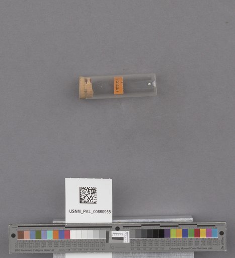 NSF ADBC EPICC TCN