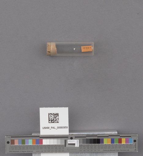 NSF ADBC EPICC TCN
