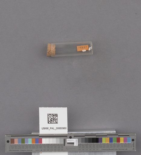 NSF ADBC EPICC TCN