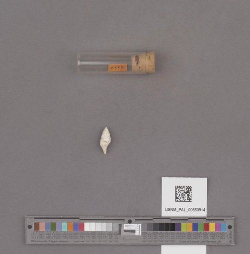 NSF ADBC EPICC TCN