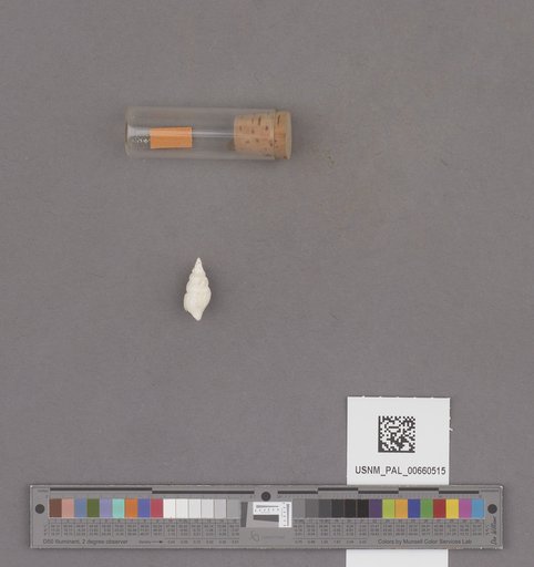 NSF ADBC EPICC TCN