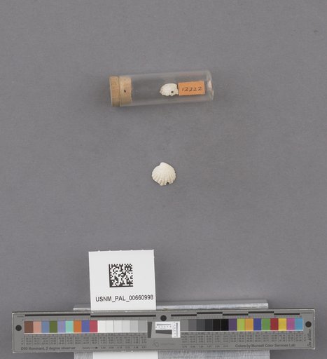 NSF ADBC EPICC TCN