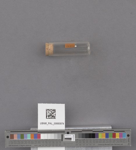 NSF ADBC EPICC TCN