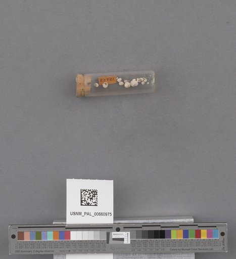 NSF ADBC EPICC TCN