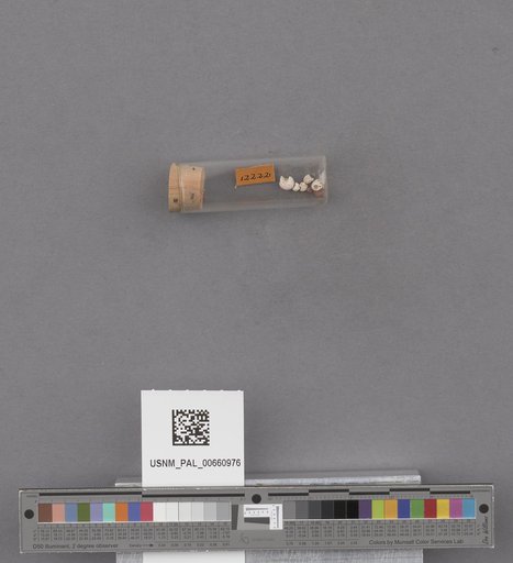 NSF ADBC EPICC TCN