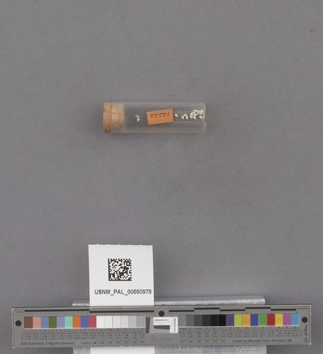 NSF ADBC EPICC TCN