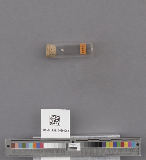 NSF ADBC EPICC TCN