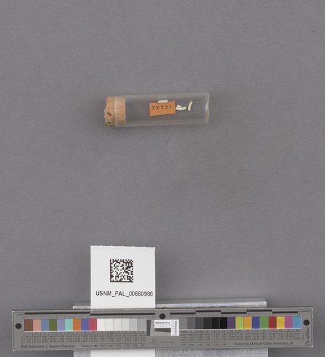 NSF ADBC EPICC TCN
