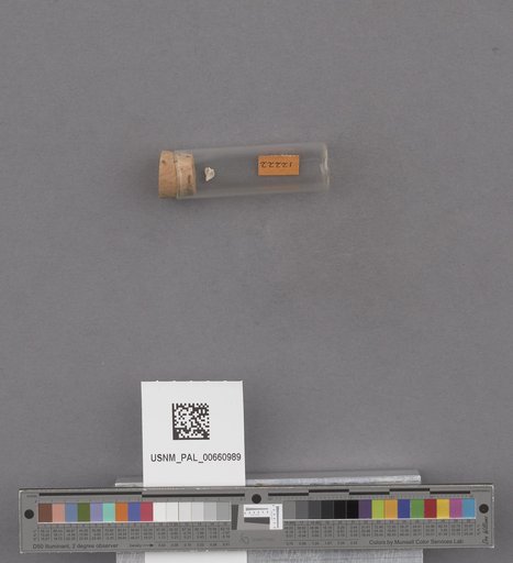 NSF ADBC EPICC TCN