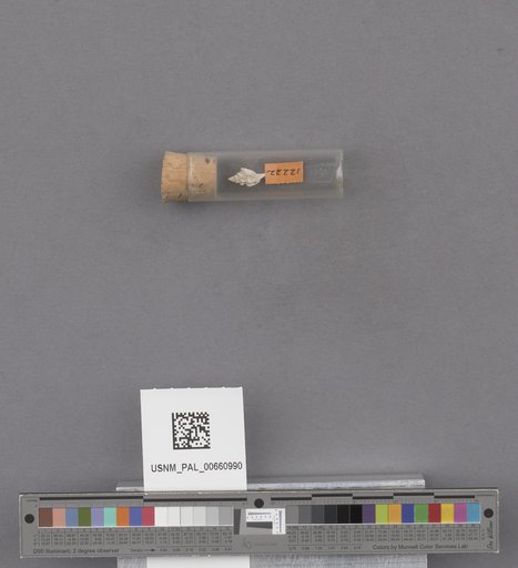 NSF ADBC EPICC TCN