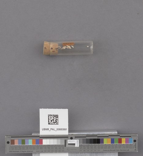NSF ADBC EPICC TCN