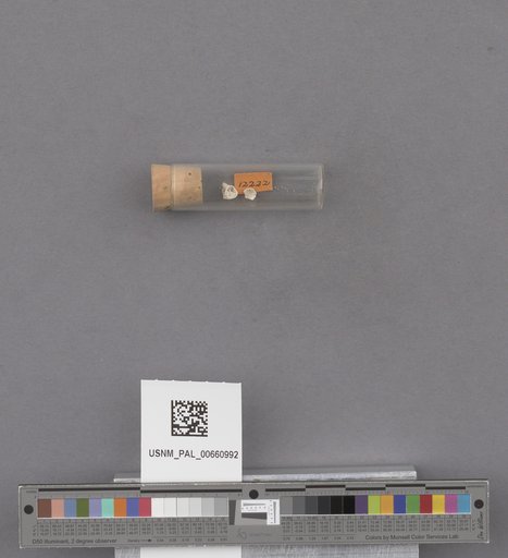 NSF ADBC EPICC TCN
