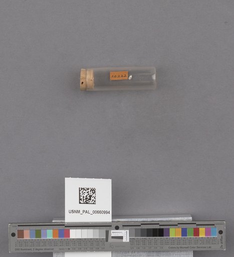 NSF ADBC EPICC TCN