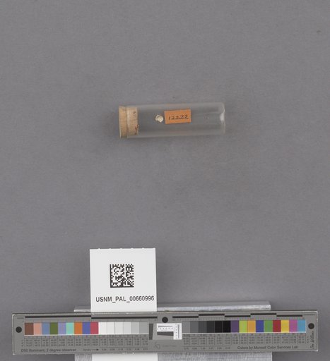 NSF ADBC EPICC TCN