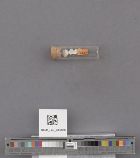 NSF ADBC EPICC TCN