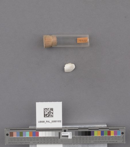 NSF ADBC EPICC TCN