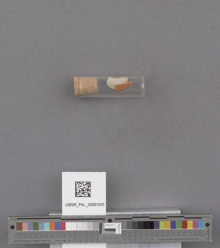 NSF ADBC EPICC TCN