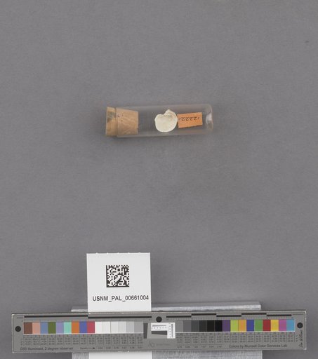 NSF ADBC EPICC TCN