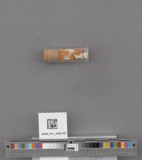 NSF ADBC EPICC TCN
