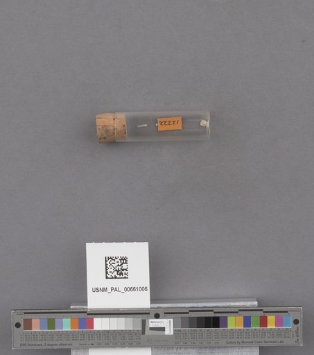 NSF ADBC EPICC TCN