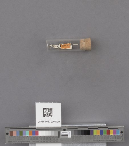 NSF ADBC EPICC TCN