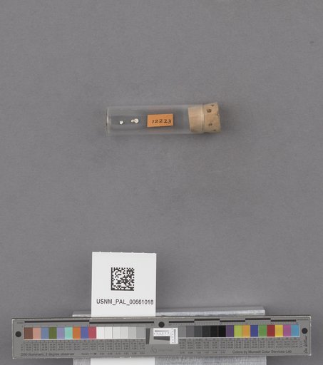 NSF ADBC EPICC TCN