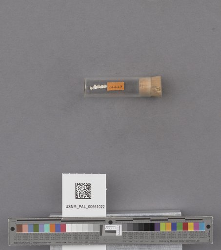 NSF ADBC EPICC TCN